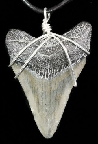 Serrated, Fossil Megalodon Tooth Necklace #47772